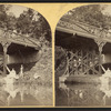 Viewers above and below the bridge, Sharon Springs.]