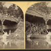 Viewers above and below the bridge, Sharon Springs.