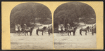 Sharon Springs, N.Y. [View of women on horse-drawn carts.]