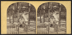 Magnesia Springs, Sharon Springs, N.Y.