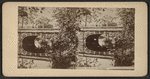 Sleepy Hollow Bridge.