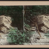 Rip Van Winkle Rock, Catskill Mts.