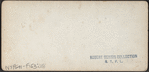 Sunny Side, Irving's Residence, Hudson River, N.Y.