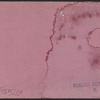 Sunny Side; Irving's Residence on the Hudson, N.Y.