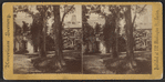 Sunny Side; Irving's Residence on the Hudson, N.Y.