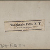 Taughanic Falls, N.Y., from the bottom of the Ravine.
