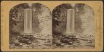 Taughanic Falls, N.Y., from the bottom of the Ravine.