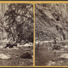 Study in Ravine below Taughanic Falls near Cayuga Lake.