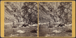 Study in Ravine below Taughanic Falls near Cayuga Lake.