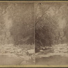 Looking down Lower Ravine, 2d view.