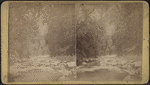 Looking down Lower Ravine, 2d view.