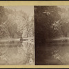 Mirror view - Lower Ravine.