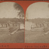 Group awaiting launch of rope ferry.