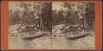 View of Rev. J.M. Pullman's, Summer Land.