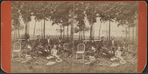 View of a group of tourists, some African American.