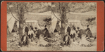 Party of tourists at a picnic.