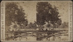 View of [Hayden Island?]