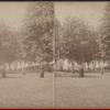 View of Idlewild.