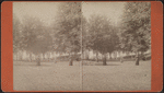 View of Idlewild.