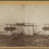 View of Lake of the Isles.