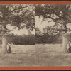Battle field at Ticonderoga. [See sign on the tree.]