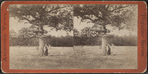 Battle field at Ticonderoga. [See sign on the tree.]