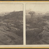 Ruins of Ticonderoga. The elm tree, said to stand where the covered way to the lake ran.