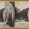 Trenton. Winter scene below Steps [Stairs].