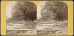 River bank, and part of High Fall.
