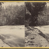 View of the rapids, between the Lower and High Fall.