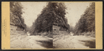 From foot of Stairs looking up creek.