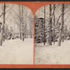 View in winter, near hotel.