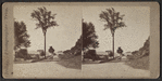 View of a man at a crossroads.