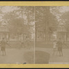 Steuben Park, Utica, N.Y.