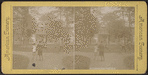 Steuben Park, Utica, N.Y.