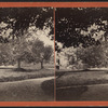 View of a garden.