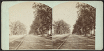 Genesee Street, Utica, from Cottage St. looking down.