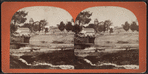 View with a rustic bridge.