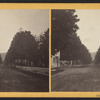 North Street, looking north from Fitch Street.