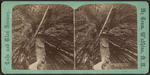 Cavern gorge, Watkins Glen.
