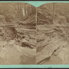 Mystic gorge, Watkins Glen.