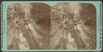 Mystic gorge, Watkins Glen.