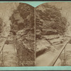 Elphin gorge, Watkins Glen.