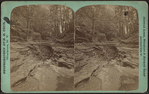 Mystic gorge, Watkins Glen.
