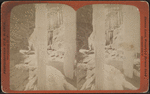 Falls in ice.