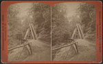 Cathedral stairs, Watkins Glen.