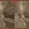 Grandeur gorge, Watkins Glen.