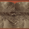 Shadow gorge, Watkins Glen.