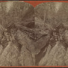 Elphin gorge, Watkins Glen.