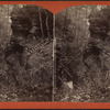 Back view of Jacob's Ladder, Havana Glen.